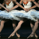 Illustration for article titled Tiny Pretty Things and the Timeless Allure of Ballet Dramas